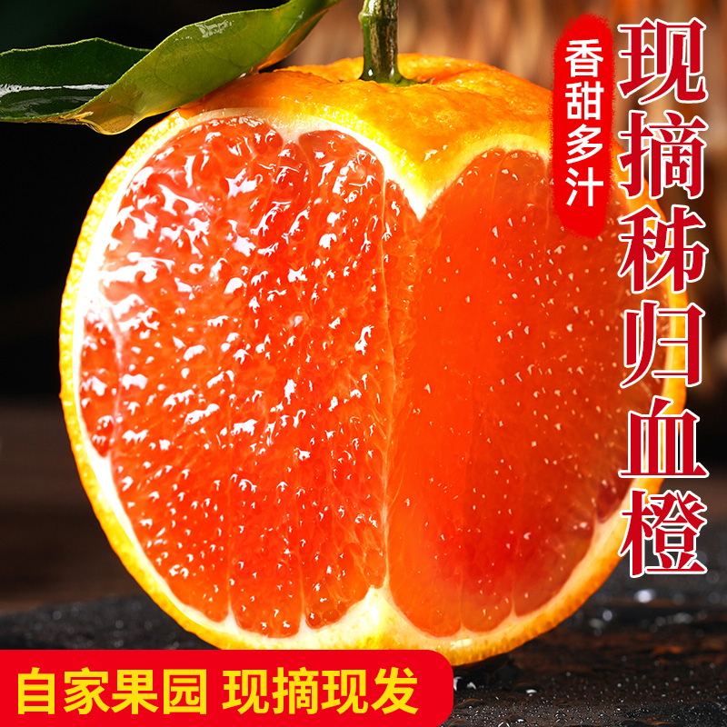 秭归血橙当季时令水果中华红心橙冰糖果冻10斤脐手剥雪橙新鲜橙子