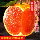 秭归血橙当季 时令水果中华红心橙冰糖果冻10斤脐手剥雪橙新鲜橙子