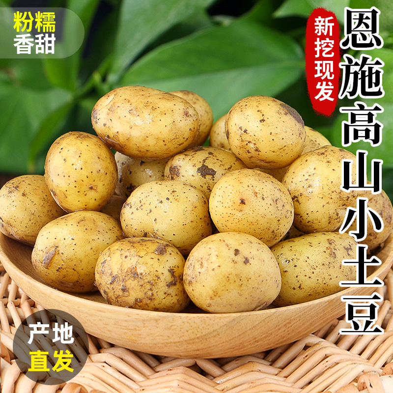 恩施小土豆整箱新鲜现挖