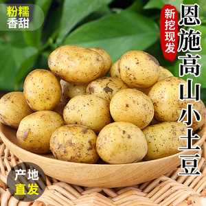 恩施小土豆10斤包邮农家正宗新鲜洋芋迷你黄心湖北马铃薯蔬菜整箱
