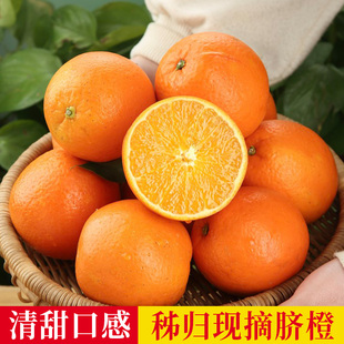 湖北秭归高山脐橙整箱包邮当季新鲜水果赣爱南媛10冰糖果冻脐橙子
