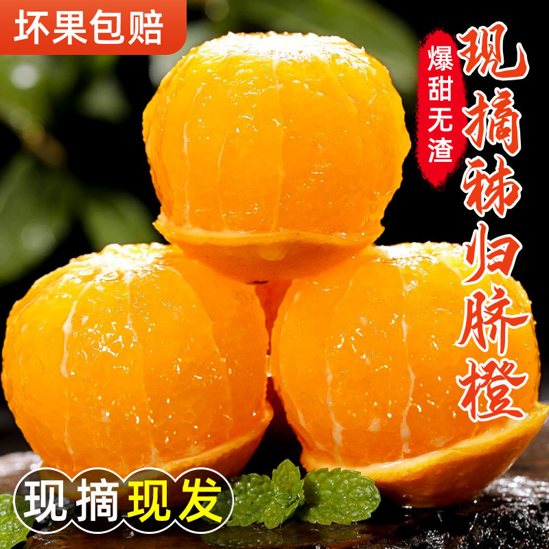 湖北宜昌秭归脐橙10斤应季新鲜水果包邮大果橙子手剥冰糖甜橙整箱