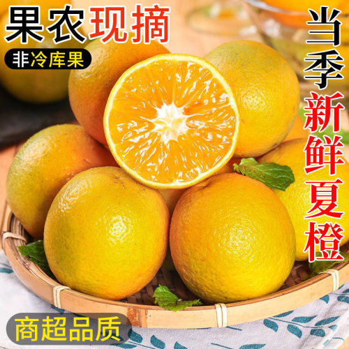 秭归夏橙整箱包邮新鲜现摘