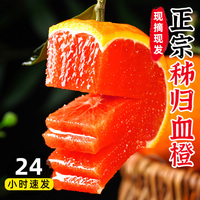 血橙橙子新鲜水果红橙榨汁专用当季冰糖手剥果冻橙整箱10雪橙甜橙