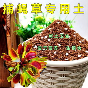 捕蝇草专用土食虫草培植土猪笼草有机土通用型捕虫草花泥新土精选