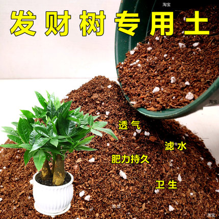 发财树专用土大型绿植花卉营养土果树土盆栽园艺培植土弱酸性热卖