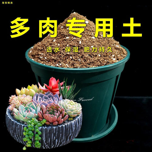 种植天然腐殖质弱酸性花卉专用土