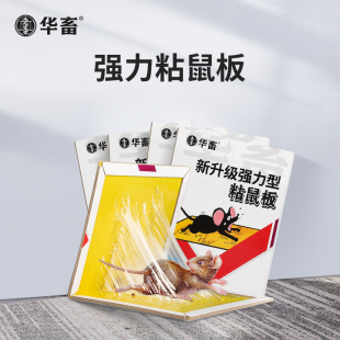 老鼠贴超强力粘鼠板抓大老鼠夹扑捉灭鼠胶沾家用捕鼠神器强劲粘力
