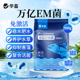 DB万亿em菌免激活鱼虾蟹池塘调水肥水培藻枯草芽孢杆菌水产养殖