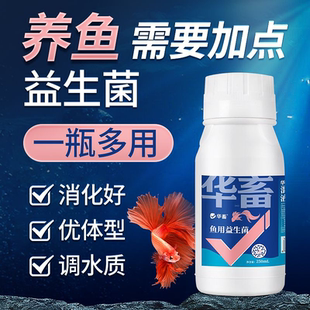 华畜鱼用益生菌锦鲤em菌调节肠道消化鱼池鱼缸水族用菌种饲料伴侣