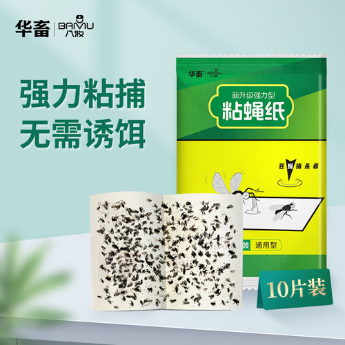 DB粘蝇纸苍蝇贴灭蝇诱苍蝇捕捉神器强力驱赶粘蚊虫板粘苍蝇纸板 - 封面