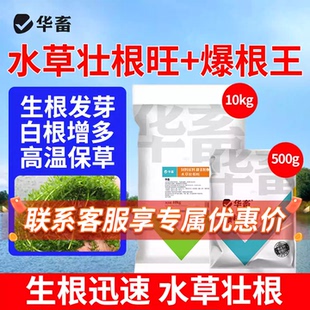 华畜爆根王壮根肥水草生根保草促长改底改善水质长根宝水草生根粉