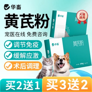华畜狗狗猫咪黄芪粉产后术后恢复猫咪用防抗应激营养品多糖小宠物