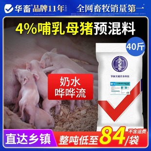 华畜哺乳母猪预混料猪饲料繁殖期专用后备妊娠怀孕期猪饲料促泌乳