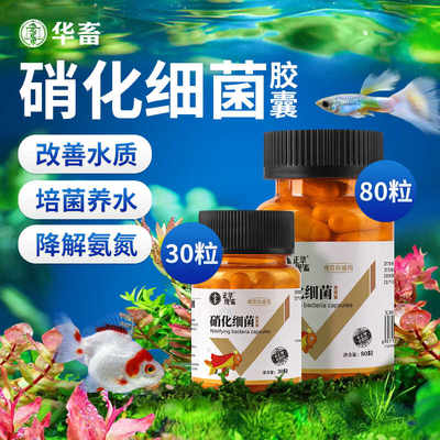 硝化细菌鱼缸用专用胶囊净水剂