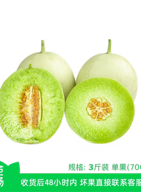 【芭芭农场】玉菇甜瓜3斤 单果700g+ 新鲜水果蜜瓜甜香适中