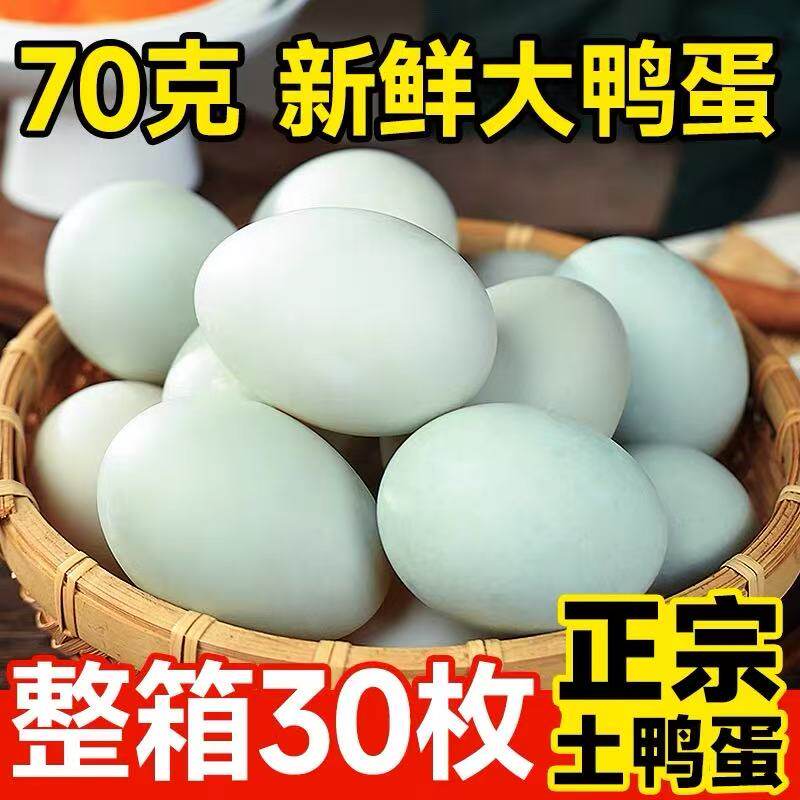新鲜鸭蛋土鸭蛋农家散养现捡现发