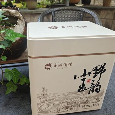 福鼎有机白茶玉琳清语2023年