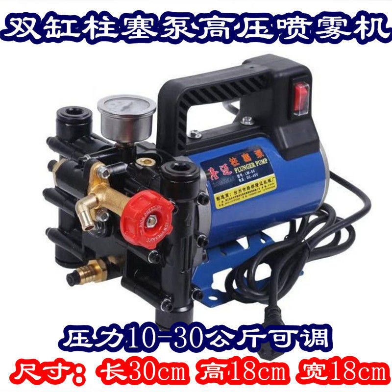 手提式12V24V48V60V220电动喷雾器果树双缸柱塞打药机泵农用高压