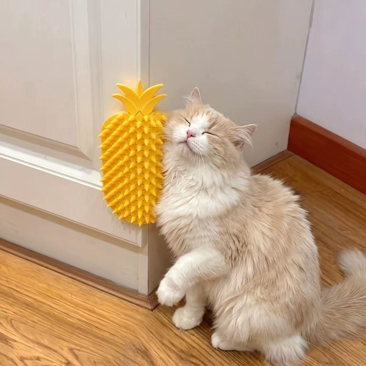 猫咪菠萝墙角桌脚蹭痒按摩梳玩具