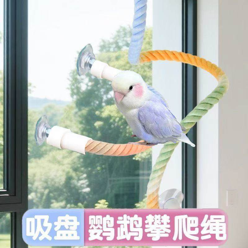 蛇攀爬造景爬宠鹦鹉吸盘式攀爬绳牡丹虎皮玄凤玩具鸟用秋千站架潮,宠物/宠物食品及用品,鸟玩具,淘宝优惠券,粉丝福利购,淘宝优惠卷
