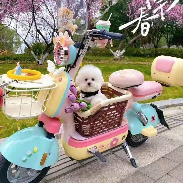 电动车狗狗座椅踏板宠物筐车上前置带车筐自行车篮子猫咪外出神器