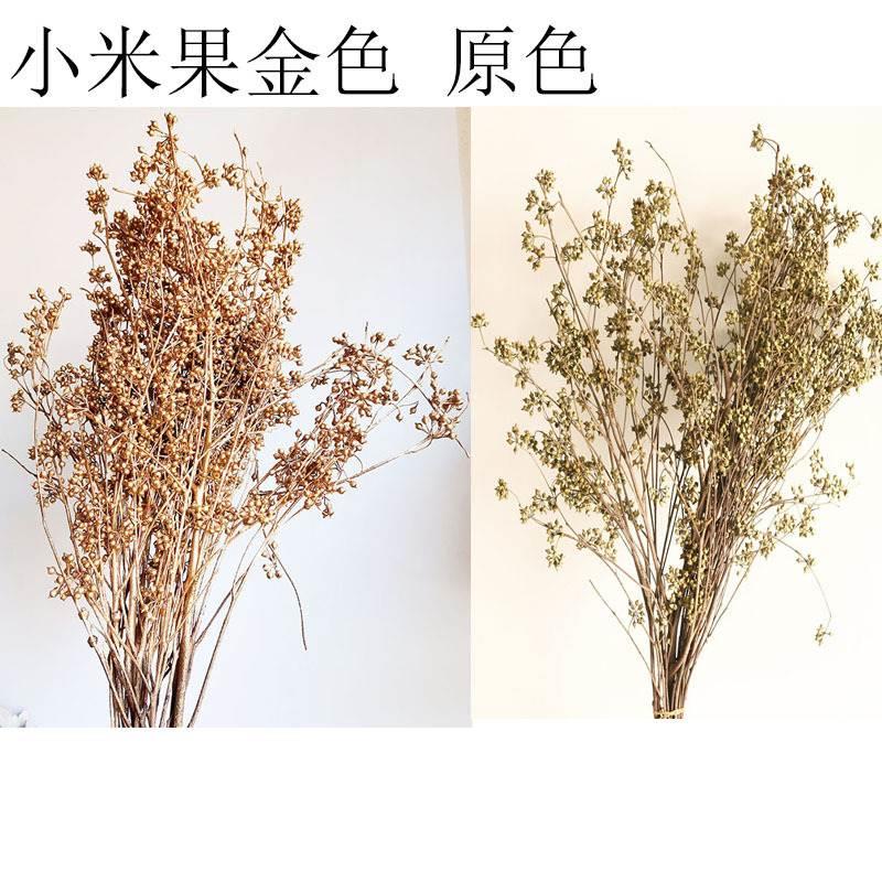 果干花真花果酒吧家居装饰浮游花材香薰团扇配花云南工厂