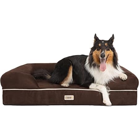 Friends Forever X-Large Dog Bed， Orthopedic Dog Sofa Memo