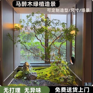 高端仿真马醉木造景植物室内仿生绿植橱窗装饰树大型假树简约景观