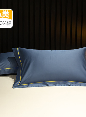 a类贡缎全棉枕套单只学生小枕套40x60单个35x55一只纯棉30x50x80