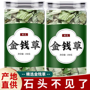 功效与中药材金前草非野生作用排钱草鸡内金石泡茶 金钱草泡水喝