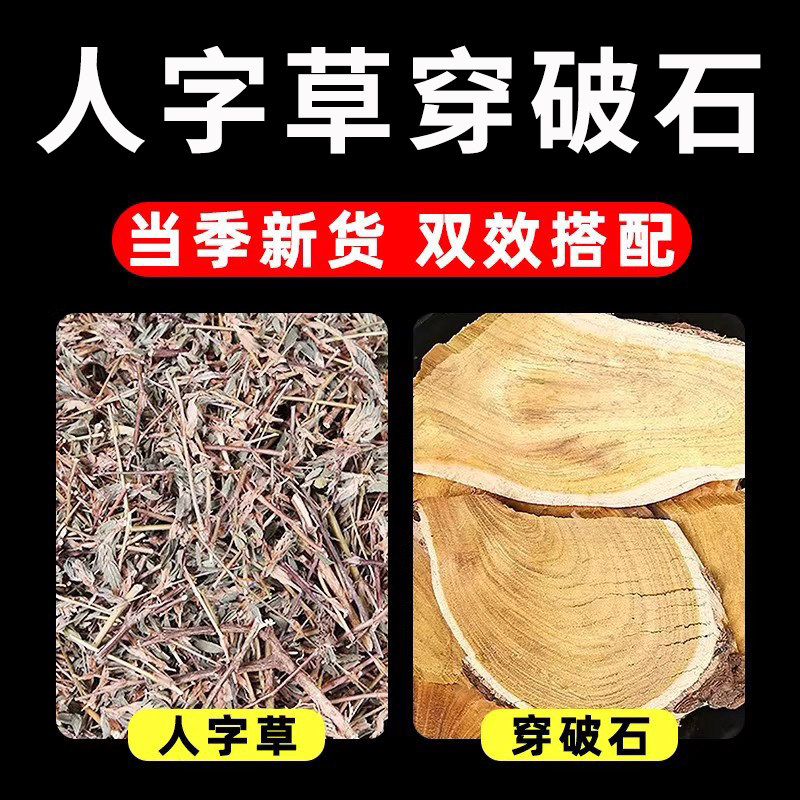 人字草穿破石中药材官方旗舰店泡水喝的功效与作用组合茶包非野生