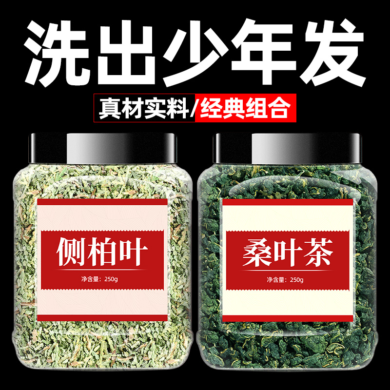 侧柏叶中药材新鲜正品500g