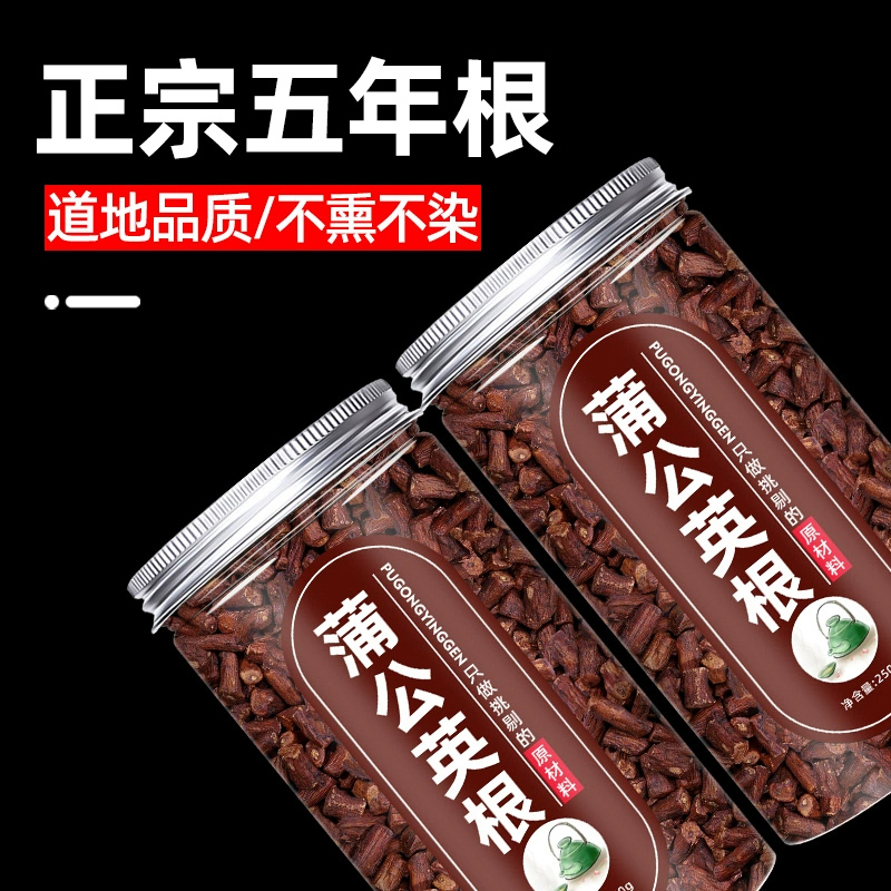 蒲公英根茶 正宗五年大根