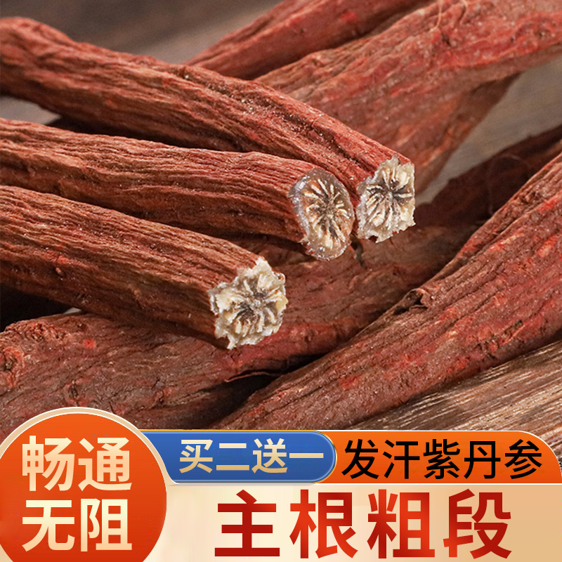 丹参整根正宗中江发汗紫丹参