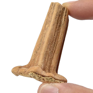 老南瓜蒂中药材500克正品新货南瓜头粉散装干货杆子非特级南瓜柄