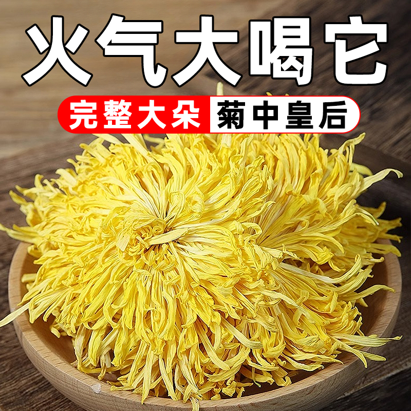 菊花金丝皇菊大菊花火气大喝它