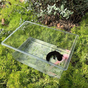 六角恐龙专用缸蝾螈宠物鱼缸饲养缸盒子塑料箱不带盖亚克力高透明