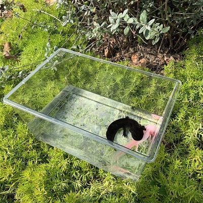 六角恐龙专用蝾螈鱼缸亚克力