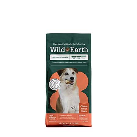 Wild Earth Vegan Dry Dog Food | Plant-Based Maintenance F