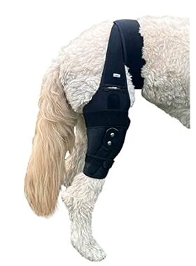 Labra Dog Canine Knee Stifle Brace Wrap， Metal Splint Hin