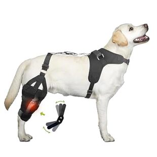 Dog Brace Knee ACL for Hind Torn Patella Joi Luxating Leg