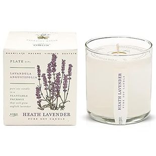 KOBO Heath Lavender Candle with Plantable Box (9 oz) | Pl
