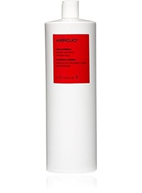 ARROJO AP100-MIC