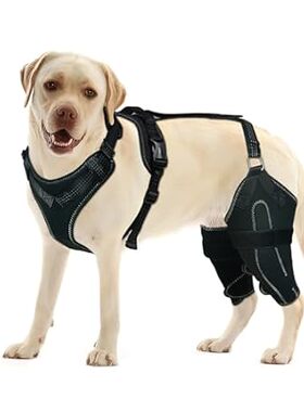 Dog Acl Knee Brace for Torn Acl Leg，Luxating Patella，Dog