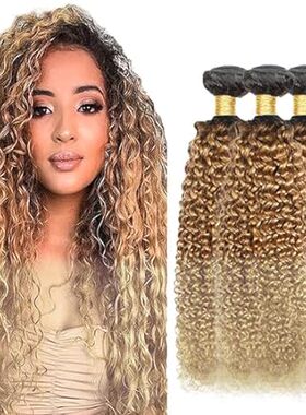 1b/27/613 Hair Bundles Curly Wave Brazilian Remy Hair Bun