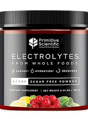 Whole Food Electrolyte Powder (Berry Flavor) Sugar Free，