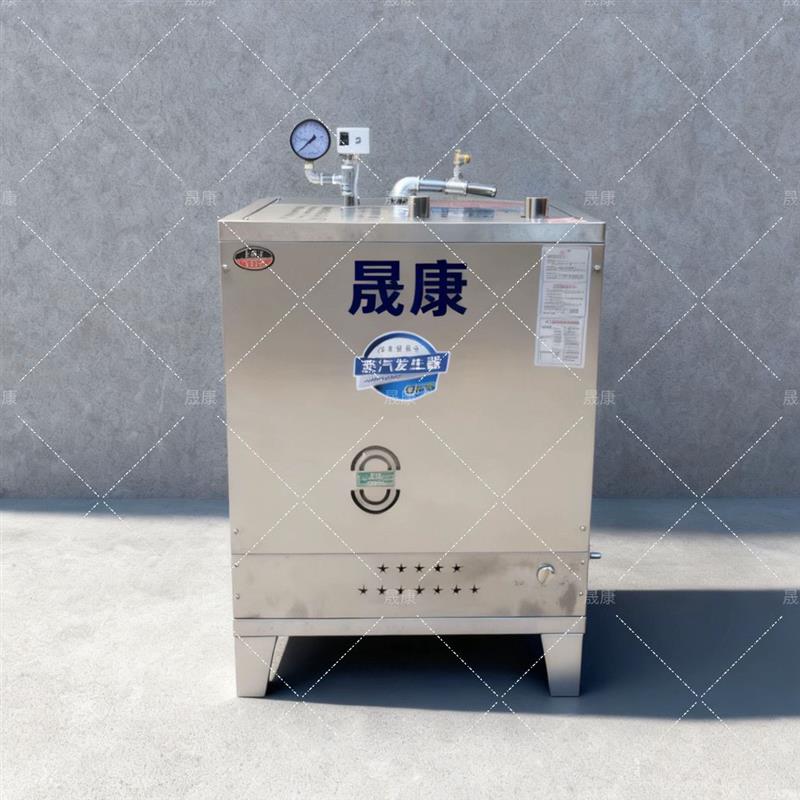 燃气蒸汽发生器烧水酿酒蒸汽机馒头豆浆节能商用锅炉液化气新型