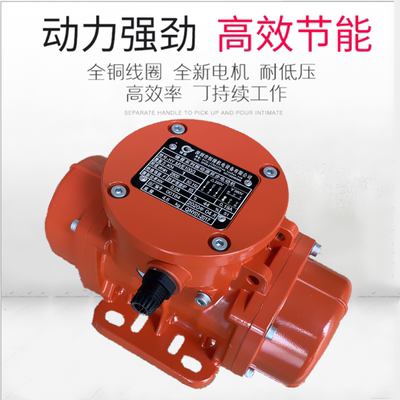 新款振动电机MVE60/31245