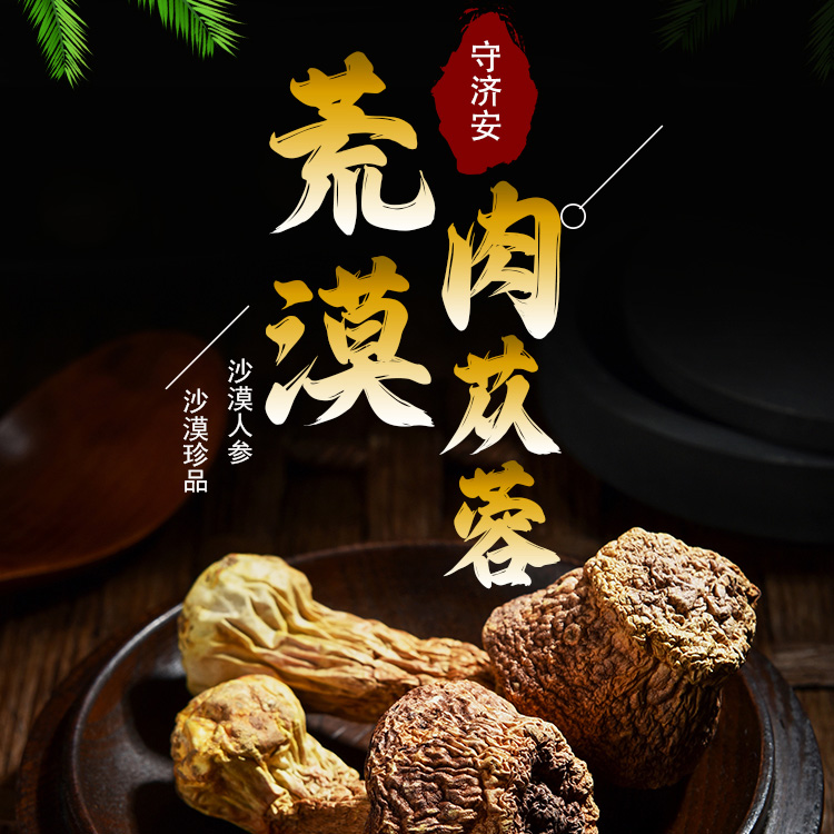 新疆塔克拉玛干沙漠的荒漠肉苁蓉